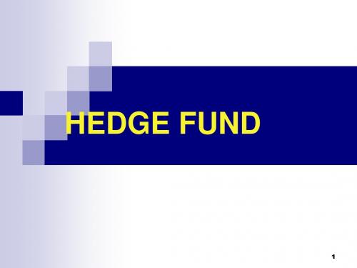 HEDGE FUND