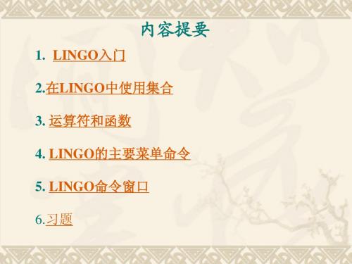 Lingo软件学习