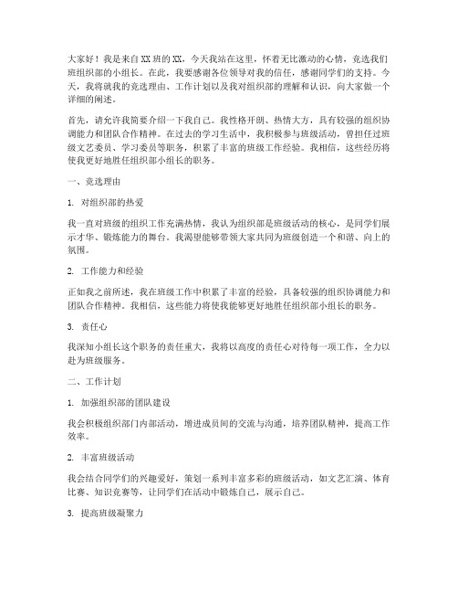 竞选组织部小组长发言稿