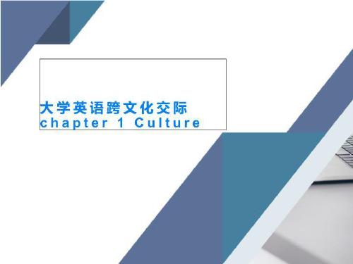 大学英语跨文化交际chapter 1 Culture