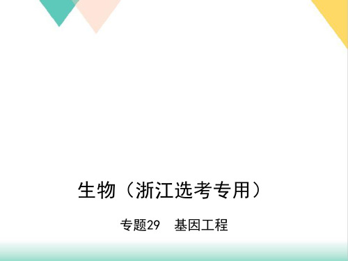 【高考】复习基因工程ppt课件