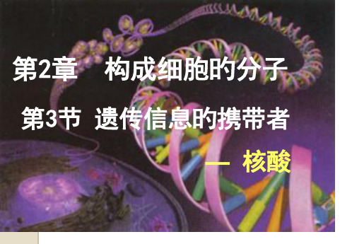 生物必修一遗传信息的携带者核酸市公开课获奖课件省名师示范课获奖课件