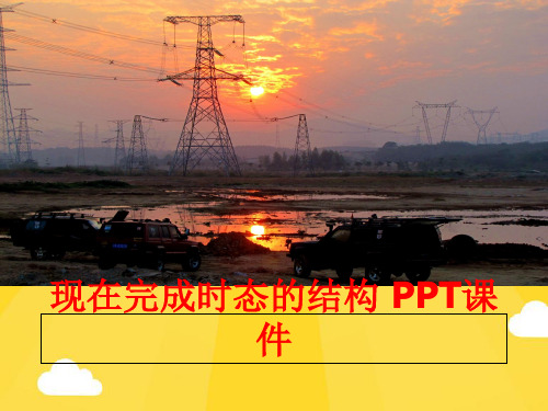 【优秀版】现在完成时态的结构PPT