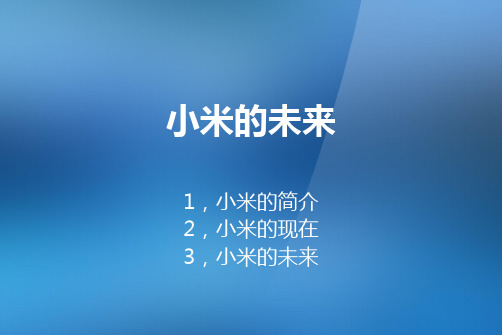 小米手机国际市场营销分析