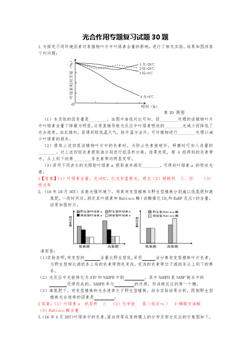 高中生物光合作用专题复习试题30题