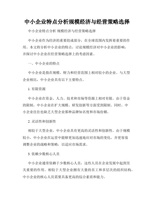 中小企业特点分析规模经济与经营策略选择