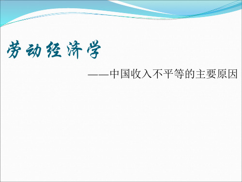 劳动经济学   收入差距的主要原因