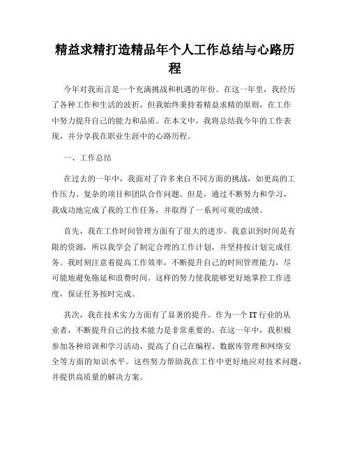 精益求精打造精品年个人工作总结与心路历程