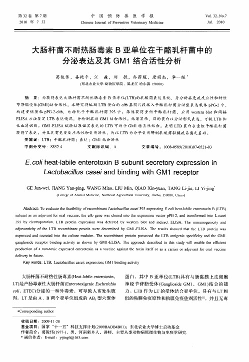 大肠杆菌不耐热肠毒素B亚单位在干酪乳杆菌中的分泌表达及其GM1结合活性分析