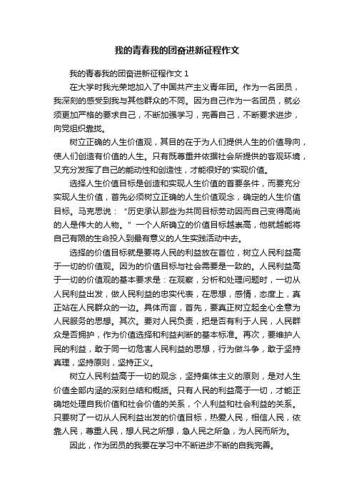 我的青春我的团奋进新征程作文