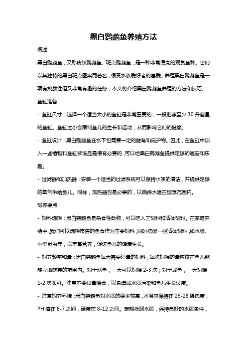 黑白鹦鹉鱼养殖方法