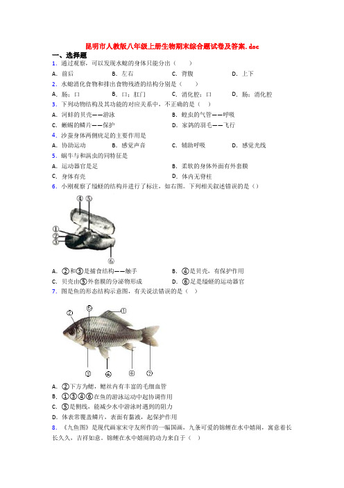 昆明市人教版八年级上册生物期末综合题试卷及答案.doc