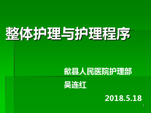 整体护理与护理程序PPT课件