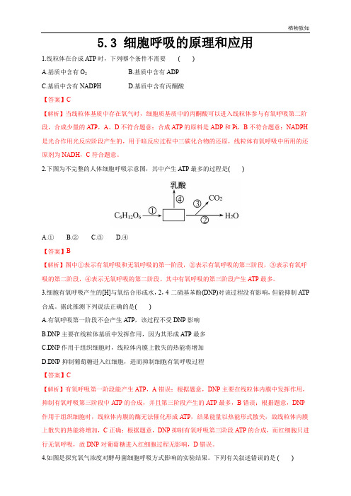 高中生物第一册 5 3 细胞呼吸的原理和应用 练习(含答案)