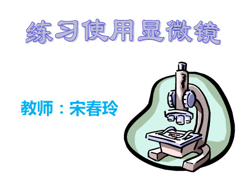 初中生物人教版七年级上册第一节 练习使用显微镜