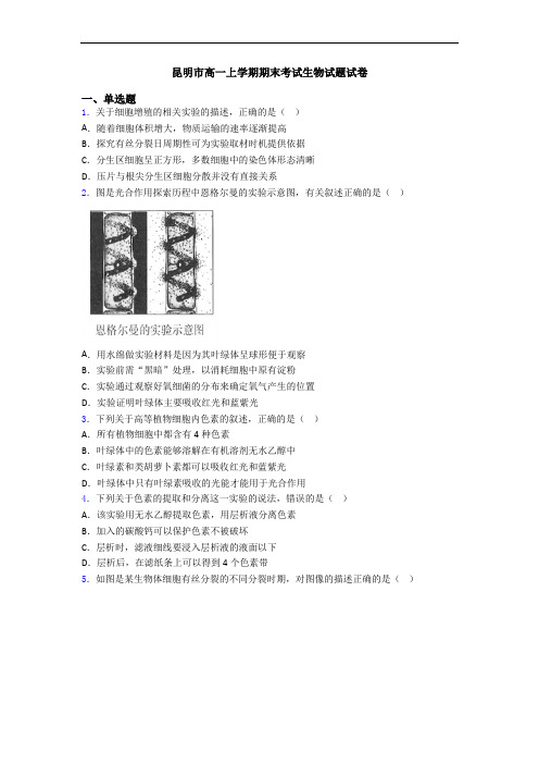 昆明市高一上学期期末考试生物试题试卷