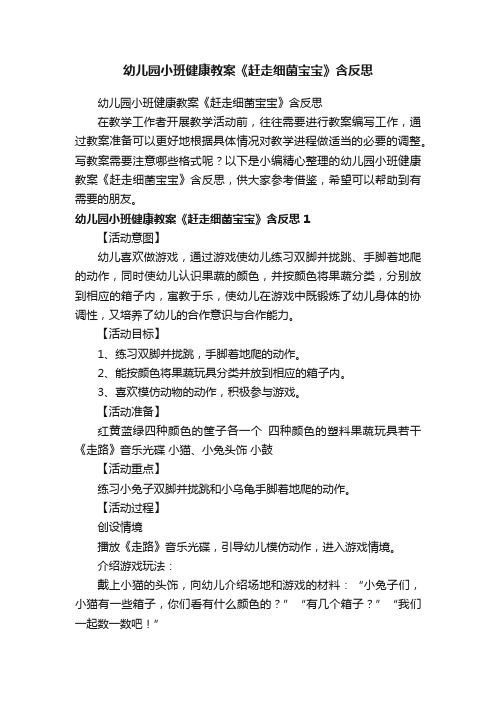 幼儿园小班健康教案《赶走细菌宝宝》含反思