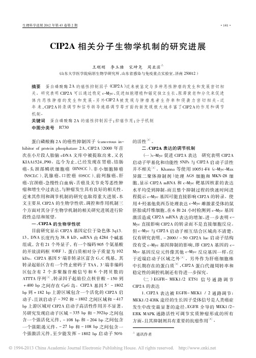 CIP2A相关分子生物学机制的研究进展_王刚刚