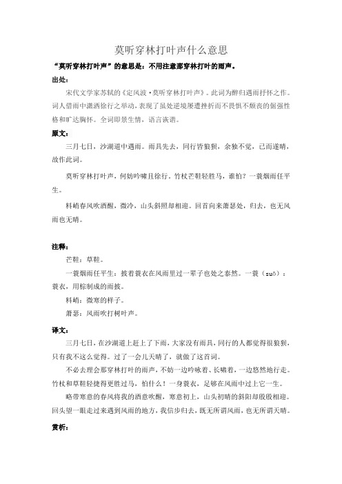 莫听穿林打叶声什么意思