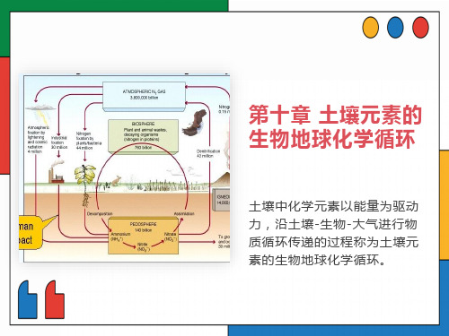 土壤元素的生物地球化学循环