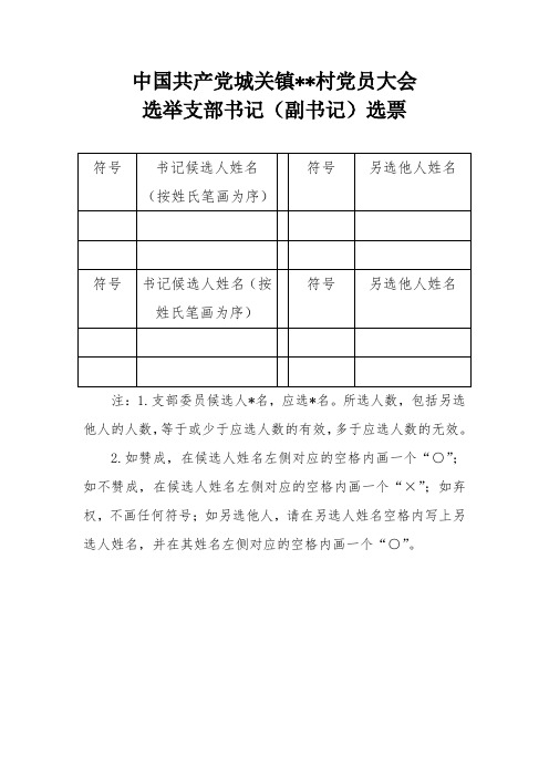 15  支部书记选票