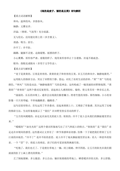 〖2021年整理〗《高的是麦子，矮的是豆荚》词句解析