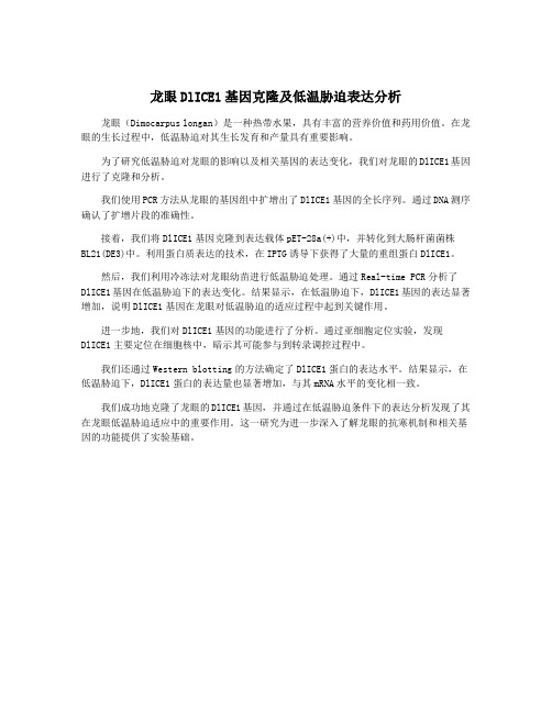 龙眼DlICE1基因克隆及低温胁迫表达分析