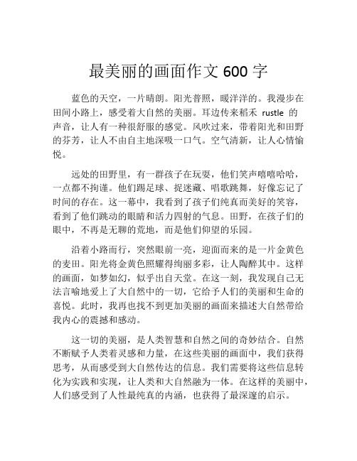 最美丽的画面作文600字