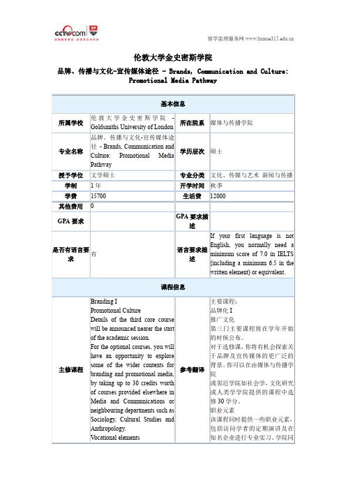 伦敦大学金史密斯学院品牌和传播与文化宣传媒体途径硕士