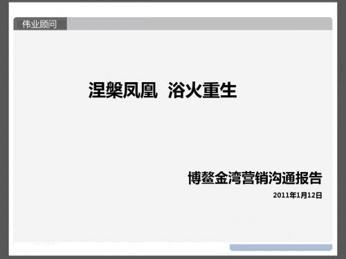 海南博鳌金湾营销沟通报告(伟业顾问)2011-207页