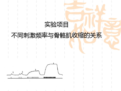 生理学实验——不同刺激频率与骨骼肌收缩的关系