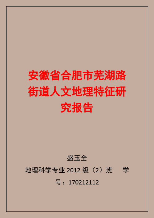 安徽省合肥市芜湖路街道人文地理特征研究报告