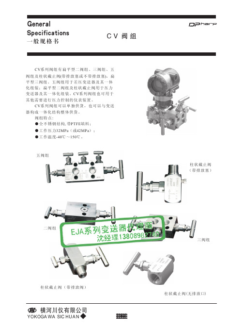 川仪横河cv