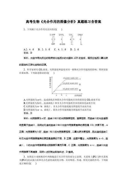 高考生物《光合作用的图像分析》真题练习含答案