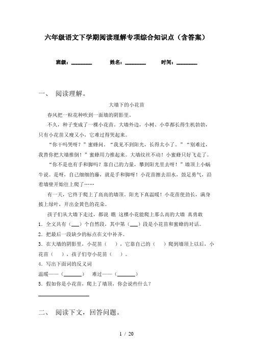 六年级语文下学期阅读理解专项综合知识点(含答案)