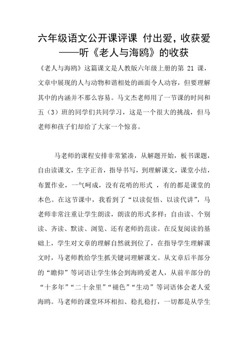 六年级语文公开课评课 付出爱,收获爱 ——听《老人与海鸥》的收获