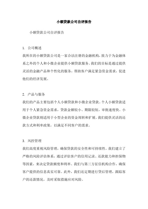 小额贷款公司自评报告