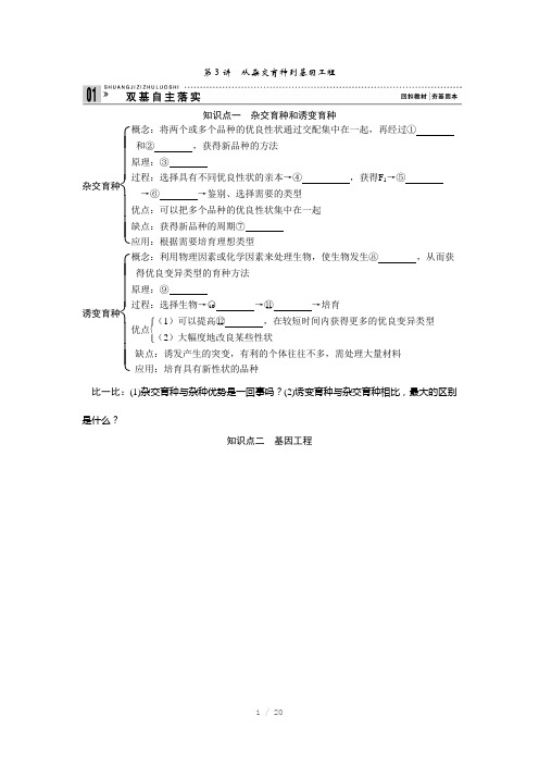 高中生物第3讲从杂交育种到基因工程