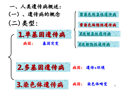 第4节人类遗传病和遗传病预防PPT课件