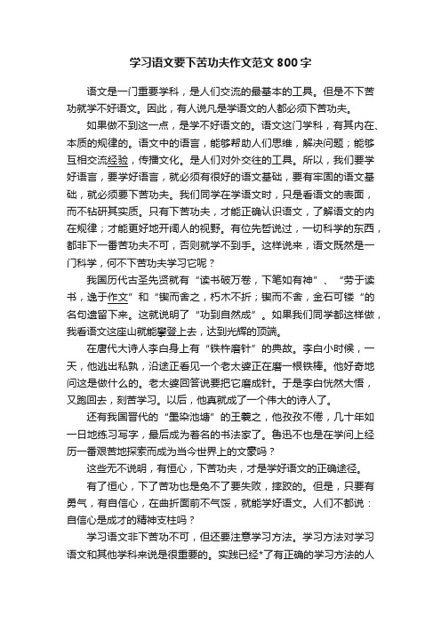 学习语文要下苦功夫作文范文800字