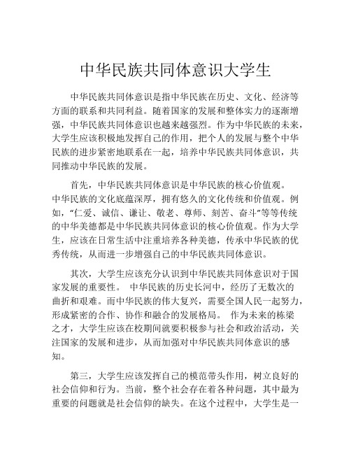 中华民族共同体意识大学生