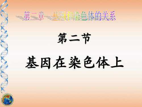 2.2《遗传的染色体学说》ppt