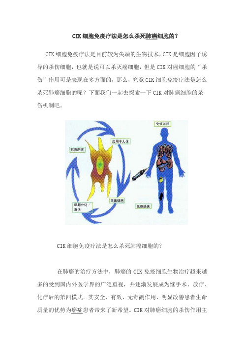 CIK细胞免疫疗法是怎么杀死肺癌细胞的