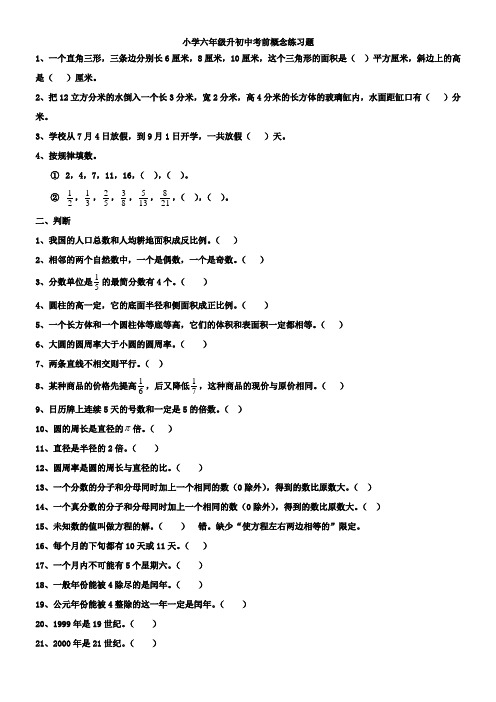 小学六年级毕业升初中数学试题精选(概念练习题)