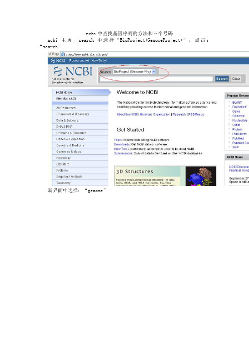 ncbi中查找基因序列的方法和三个号码