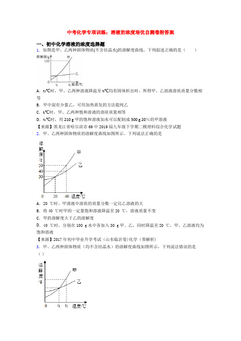 中考化学专项训练：溶液的浓度培优自测卷附答案