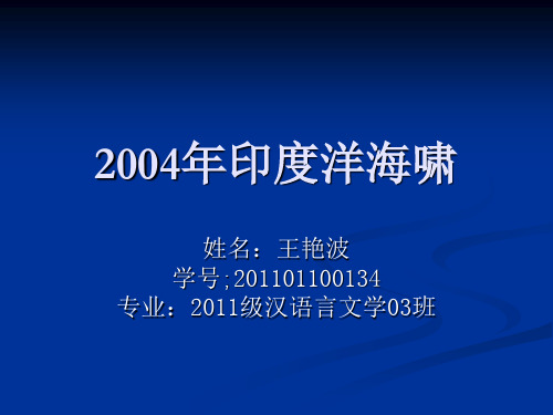 2004年印度洋海啸 解析