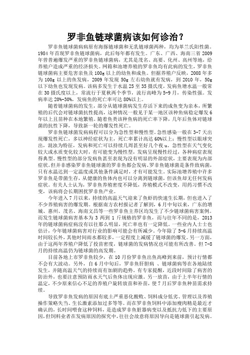 罗非鱼链球菌病该如何诊治