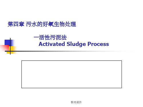 污水的好氧生物处理--活性污泥法