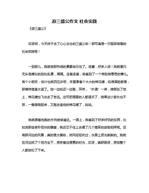 游三盛公作文 社会实践